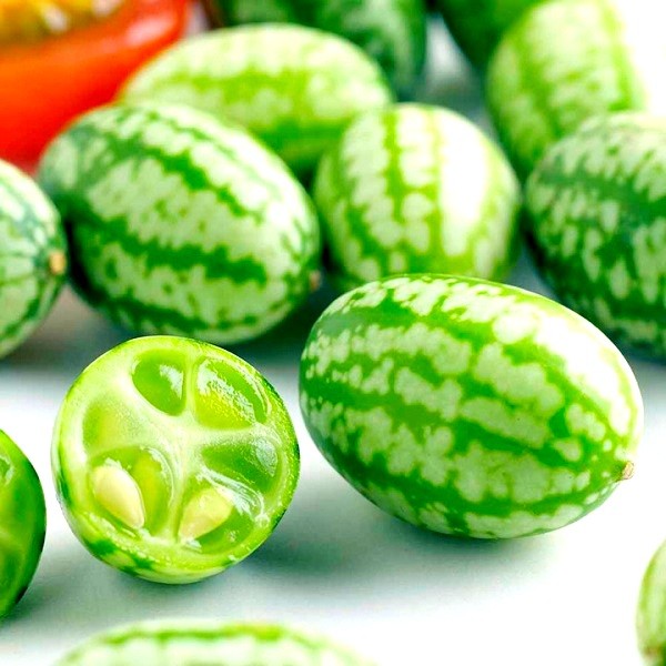 Hạt giống Dưa hấu nhỏ Mexico - Dưa hấu chuột, dưa hấu tí hon